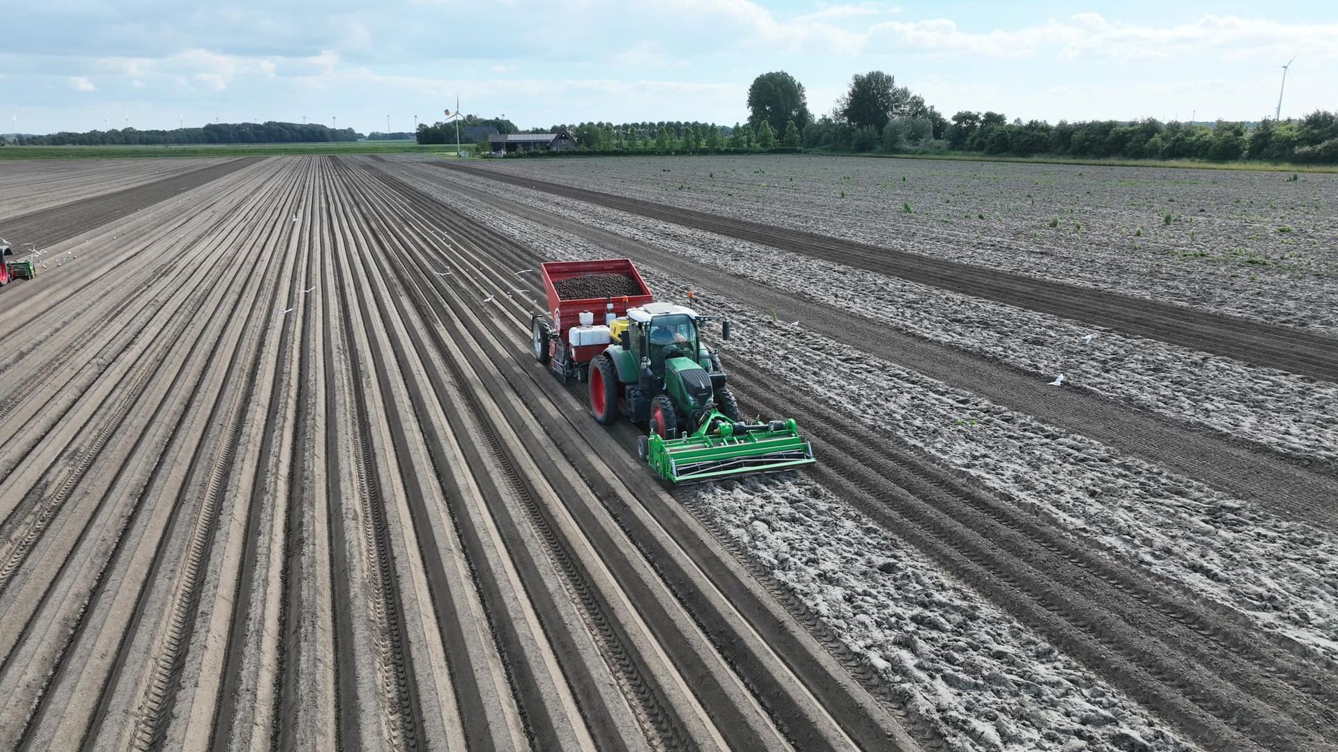 potato seed planter planter machine planting potato seeds