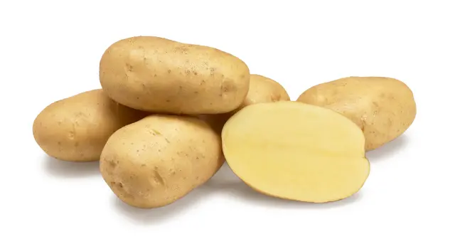 agria potato seeds Netherlands