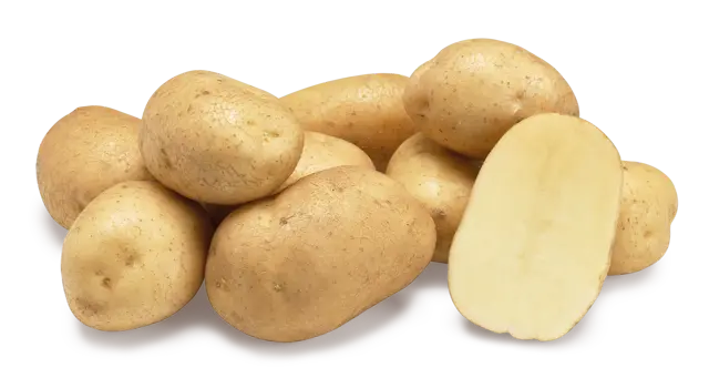 Diamant potato seeds Diamant potato seed nethelands