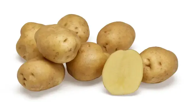 hermes potato seeds Netherlands