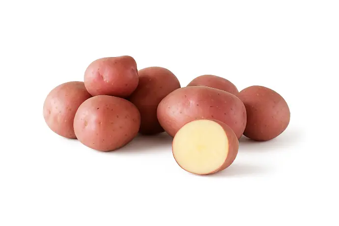 lady rosetta potato seeds Netherlands