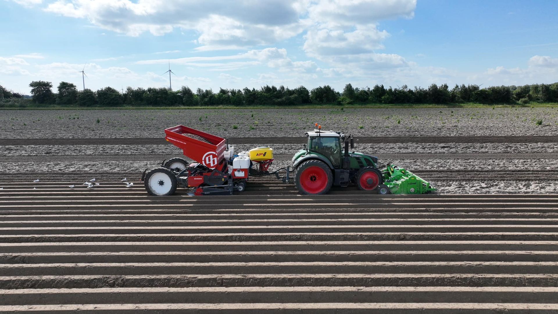 planter potato seeds Netherlands
