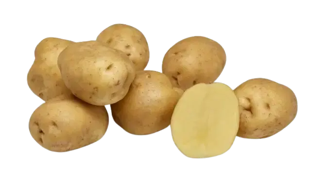 Hermes potato seeds Hermes potato seeds netherlands
